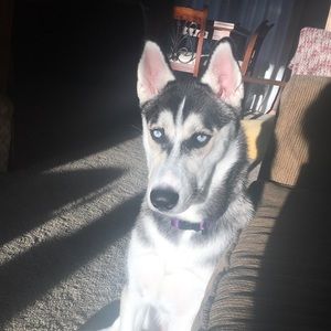 Meet your Posher, Kimberly